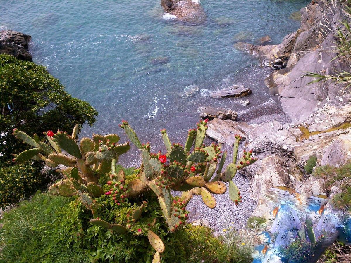 Le Case Di Recco By Holiday World Rum bild